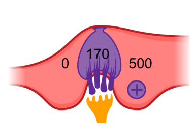 Screen Shot 2018-03-25 at 2.43.01 PM